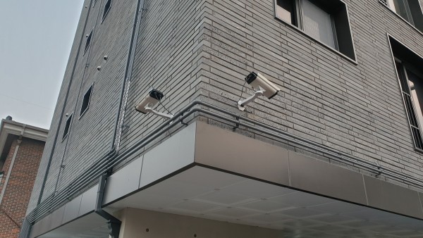 1f2a3d66ac692c5b66d6d59e2ac55b82_1741697183_0242.jpg